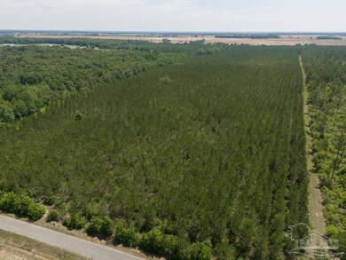 2 Bud Diamond Rd, Jay, FL 32565 - photo 4