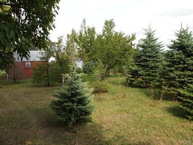 VIEW FROM BACK OF LOT ON SIDE WITH CHRISTMAS TREES