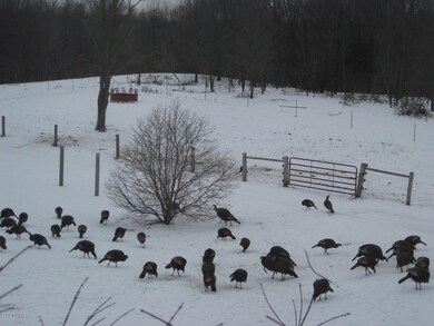 Turkeys attached property