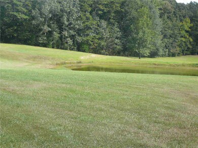 Beautiful view of pond
