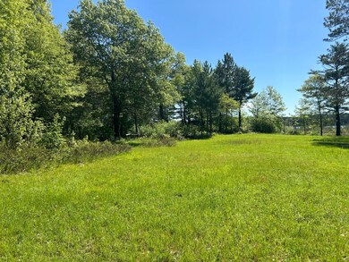 10041 Grassy Lake Rd, Boulder Junction, WI 54512 - photo 6