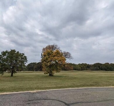 541 Toscana Cir, Gordonville, TX 76245 - photo 2