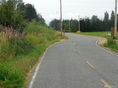 3164 Arnie Rd, Custer, WA 98240 - photo 2