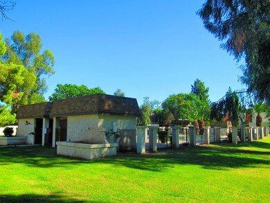 community pool