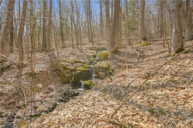 L9.113 Lutheranville Rd, Summit, NY 12175 - photo 2