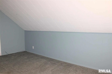 30629 52nd Ave N, Hillsdale, IL 61257 - photo 7