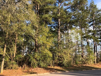 4460 Flowers Chapel Rd, Dothan, AL 36305 - photo 6