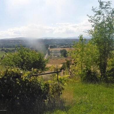 Garden w/ a View