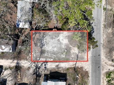 207 9th St E, Steinhatchee, FL 32359 - photo 6