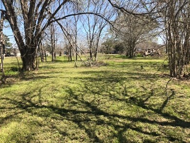 2901 Sims Ave, Bay City, TX 77414 - photo 2