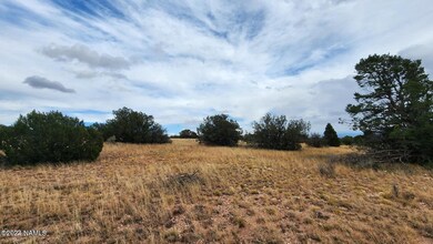 8381 W Shingle Oak Ln, Williams, AZ 86046 - photo 6