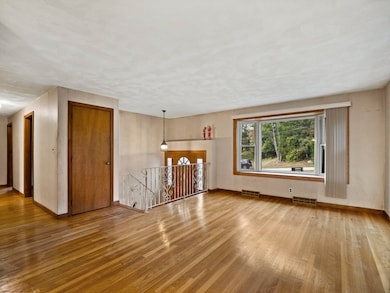 12 Pinetree Rd, Billerica, MA 01821 - photo 3