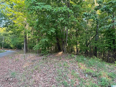 0 Davis Acres Dr unit 72 & 73 21417315, Alpine, AL 35014 - photo 2