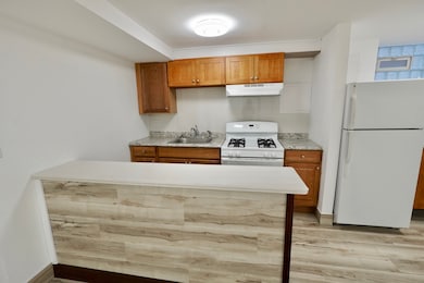 6707 S Artesian Ave unit LL, Chicago, IL 60629 - photo 7