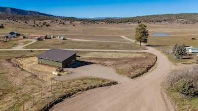 147 Apple Ct, Pagosa Springs, CO 81147 - photo 4
