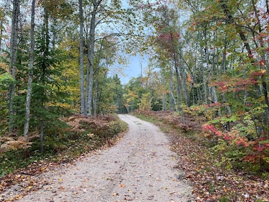 Lot 28 Third Creek Subdivision, Paradise, MI 49768 - photo 7