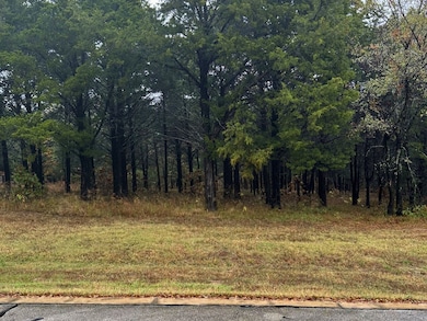 106 Barrington Cir, Gordonville, TX 76245 - photo 3