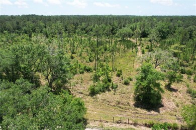 View of woods