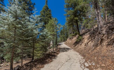 013_Paved Drive
