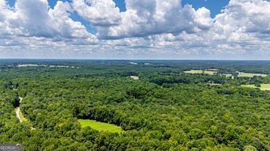 1070 Cedar Grove Dr, Buckhead, GA 30625 - photo 6