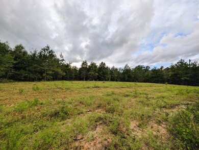 0 Grimsley Rd, Gordon, AL 36343 - photo 6