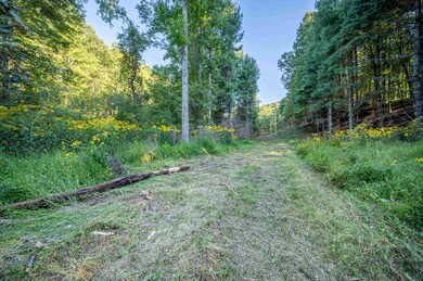 1287 Cox Store Rd SW, Floyd, VA 24091 - photo 7