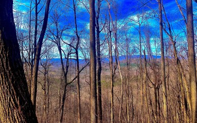 LT 67 Mealer Rd, Ellijay, GA 30536 - photo 2