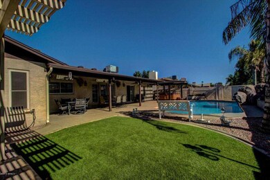 Synthetic Grass for easy maintenance