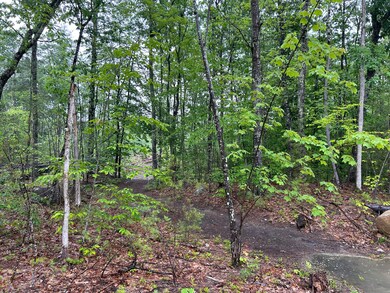 raymond Lot 5 Woodstone Way, Raymond, ME 04071 - photo 2