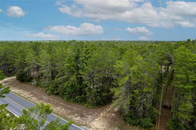 0 Sea Meadows Dr, Perry, FL 32348 - photo 4