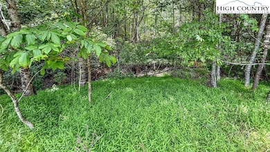 TBD - Lot 40 Creek Ct, Jefferson, NC 28640 - photo 4