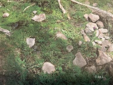 0 Tuledad Canyon unit 2906696, Termo, CA 96132 - photo 3