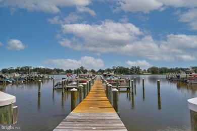 32373 Gypsea Ct, Dagsboro, DE 19939 - photo 3