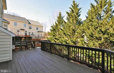 5507 Edson Ln, Rockville, MD 20852 - photo 7