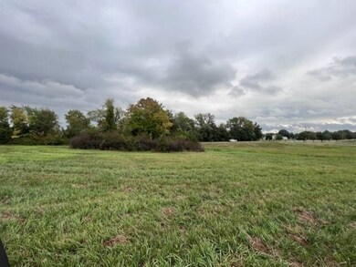 000 W St & 355th St, Cameron, MO 64429 - photo 4