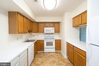 406 Aurora St, Cambridge, MD 21613 - photo 5