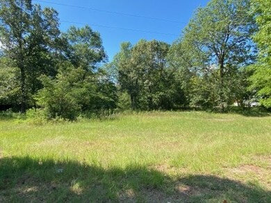 LOT 2 Landrum Rd, Lufkin, TX 75904 - photo 4