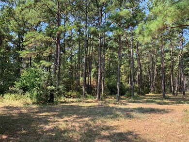 25692 Joseph Rd, Hockley, TX 77447 - photo 7