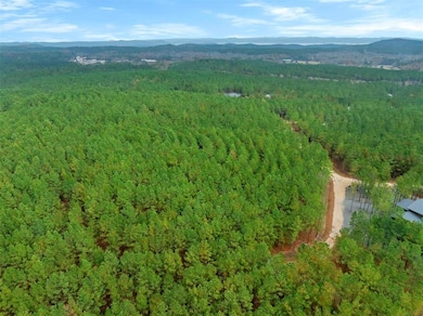 295 Hochapine Trail, Broken Bow, OK 74728 - photo 5