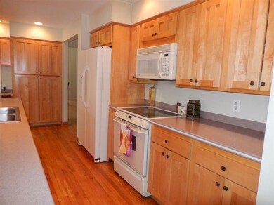 555 Washington St, Chelsea, MI 48118 - photo 5