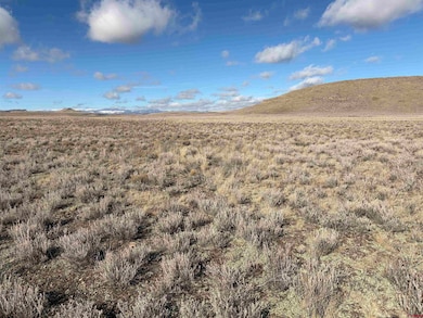 0 Lariat Rd unit 830136, Monte Vista, CO 81144 - photo 4