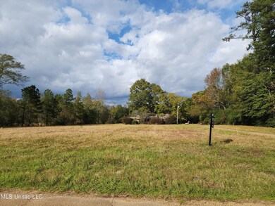 397 E Whitworth St, Hazlehurst, MS 39083 - photo 2