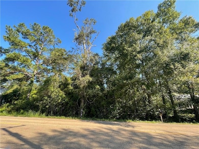 0 Main St, Abita Springs, LA 70420 - photo 4