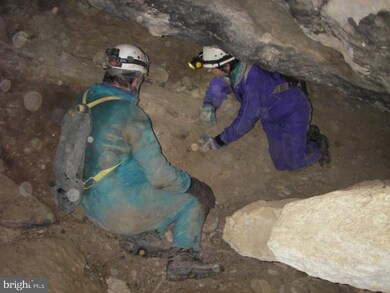 36 Elkhorn Sub Divide, Dorcas, WV 26847 - photo 6