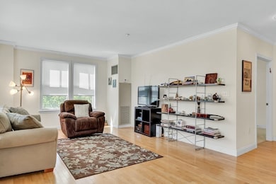 2 St Paul St unit 308, Brookline, MA 02446 - photo 5