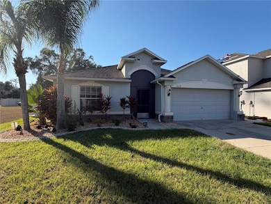 10214 Summer Azure Dr, Riverview, FL 33578 - photo 2