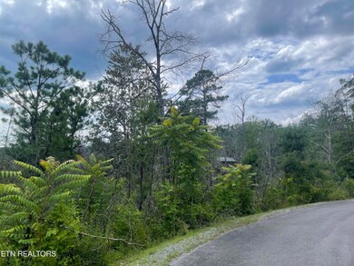 0 River Birch Way unit 1268846, Sevierville, TN 37862 - photo 5