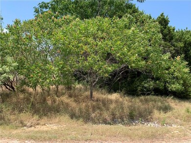 44199 Fringewood Dr, Whitney, TX 76692 - photo 2
