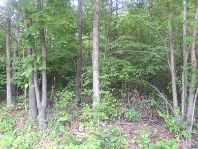 TBD Liberty Rd unit 2, New Canton, VA 23123 - photo 5