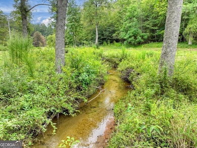 34.56 Ac Weaver Creek Rd, Blue Ridge, GA 30513 - photo 7